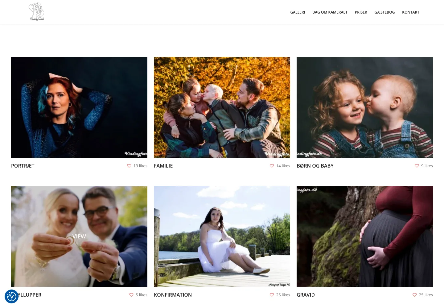 Alle kategorier samlet i ét galleri — skærmbillede af vindingfoto.dk